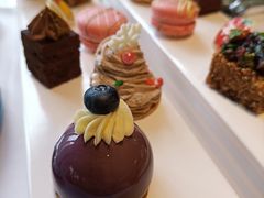 -蝶舍·MAISON PAPILLON