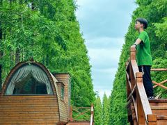 -黄海国家森林公园