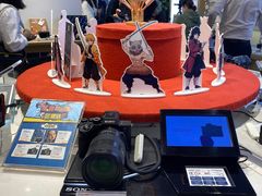 -Sony Store 索尼(上海淮海中路店)