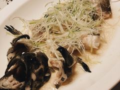 清蒸老虎斑-三号黄浦会Canton Table