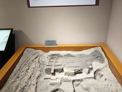 -洛阳周王城天子驾六博物馆