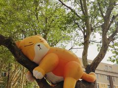 -西安电影制片厂