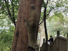 -昆明动物园