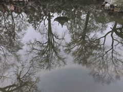 -留园