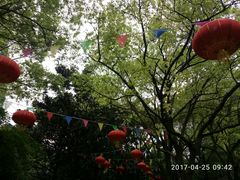 -瀛洲公园