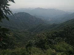-大岭沟猕猴桃谷风景区