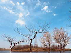 -渭河城市绿地运动公园