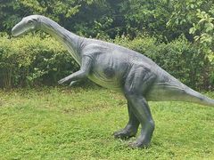 -自贡恐龙博物馆