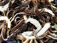 -爆肚于(赵公口桥店)