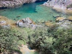 -南海湾森林生态园