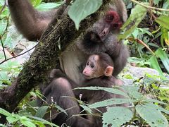 -西岭雪山大飞水景区