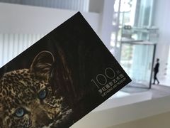 门票-罗红摄影艺术馆