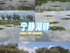 -洱海月湿地公园