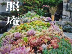 -寂照庵