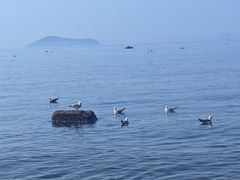 -银沙滩浴场