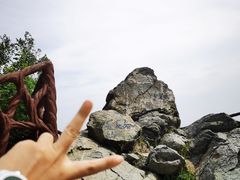 -北京西山国家森林公园