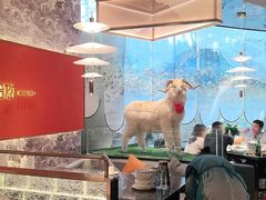 -百草滩羊清水涮羊肉·清真·宁夏盐池滩羊(莲花桥店)