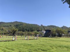 -红山村