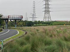 -王借岗森林公园