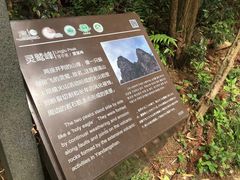 -楠溪江石桅岩
