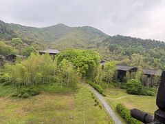 -大唐贡茶院
