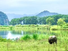 -夏屿湖畔.落日湖景餐厅(普者黑景区店)