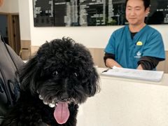 -申普宠物医院·眼科·心内科·影像科(普陀分院)