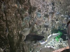 -多彩贵州城极地海洋世界