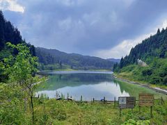 -武陵山森林公园