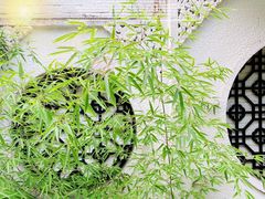-浮何烤铺(桐梓林店)