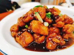 -全乐鱼馆·淳牌有机鱼直营店