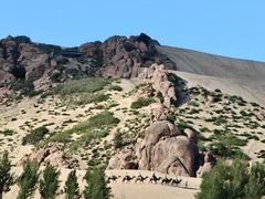 -玉龙沙湖景区