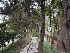 -嘉定紫藤园
