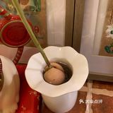 广州咖啡季｜四序咖啡