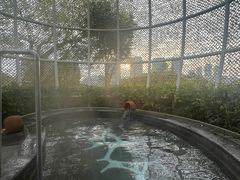 -凤翔首邑温泉度假村