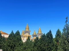 -龙口南山旅游景区