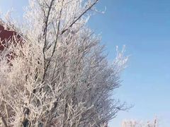 -北极村旅游风景区