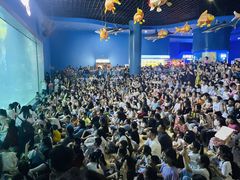 -福州罗源湾海洋世界旅游区