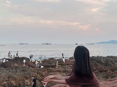 -青岛第三海水浴场