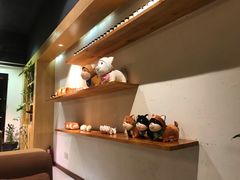 -柴务处·柴犬主题狗咖