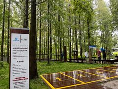 -黄海国家森林公园