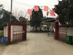 -老杨砂锅鱼庄