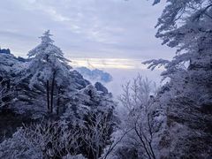 -黄山风景区