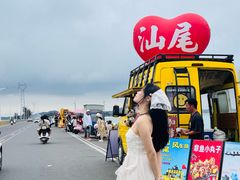 -汕尾风车岛