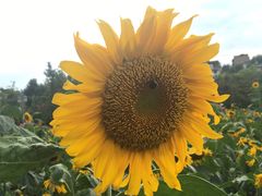 景点-贵阳市花溪国家城市湿地公园