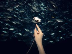 -成都浩海立方海洋公园