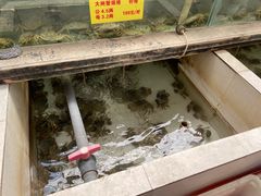 -喜洋洋蟹庄(阳澄湖店)