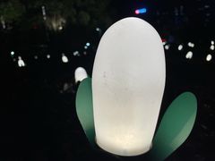 -天鹅湖体育公园