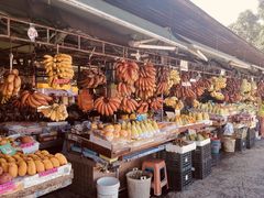 -南沙十九涌渔人码头-南门