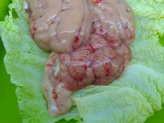 -镇江龙·火锅串串(武侯祠店)